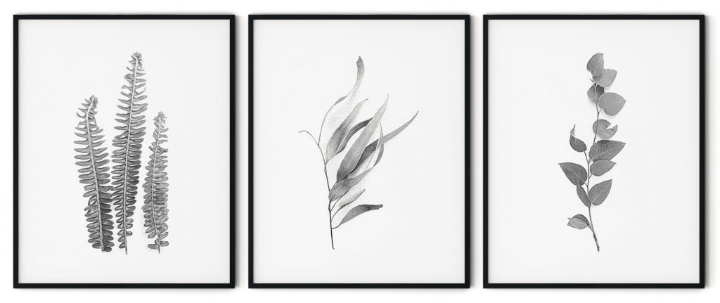 Black and White Plant Framed Wall Art (Set of 3), Botanical Art, Nature Art, Modern Art – Choose Size and Frame Color