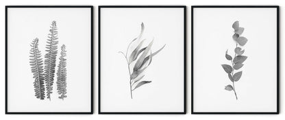 Black and White Plant Framed Wall Art (Set of 3), Botanical Art, Nature Art, Modern Art – Choose Size and Frame Color