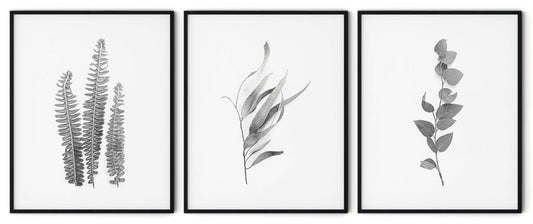 Black and White Plant Framed Wall Art (Set of 3), Botanical Art, Nature Art, Modern Art – Choose Size and Frame Color