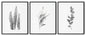 Black and White Plant Framed Wall Art (Set of 3), Botanical Art, Nature Art, Modern Art – Choose Size and Frame Color