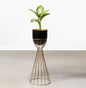 Styl'Urs Artful Planter