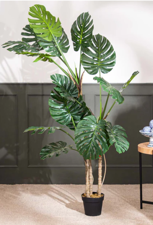 Faux Swiss Cheese Plant