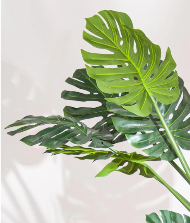 Faux Swiss Cheese Plant