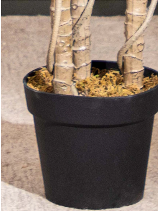 Faux Swiss Cheese Plant