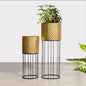 Verdant Oasis Metal Planters - Pair