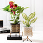 decorative planter - set of 2