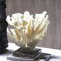 corral table decor