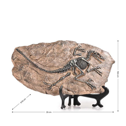 dino fossil decor