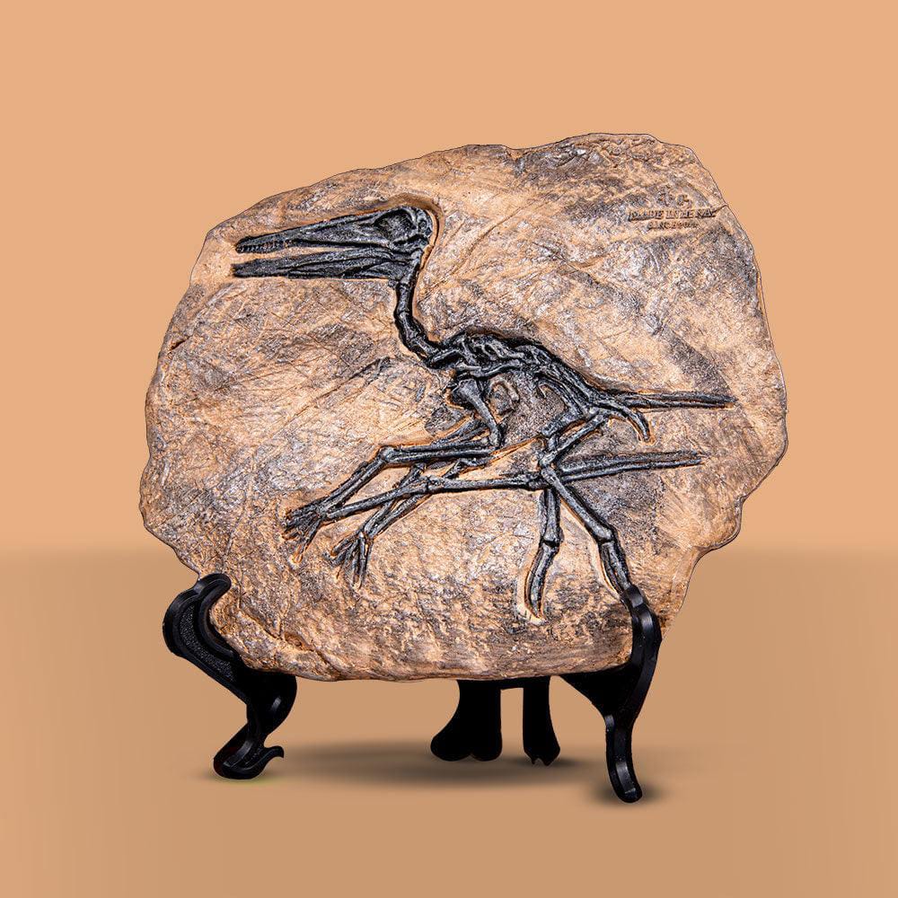 dino fossil decor