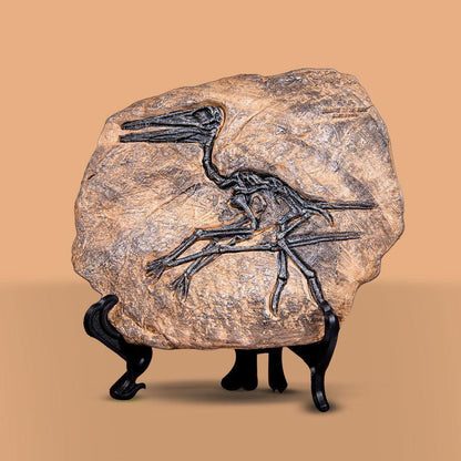 dino fossil decor