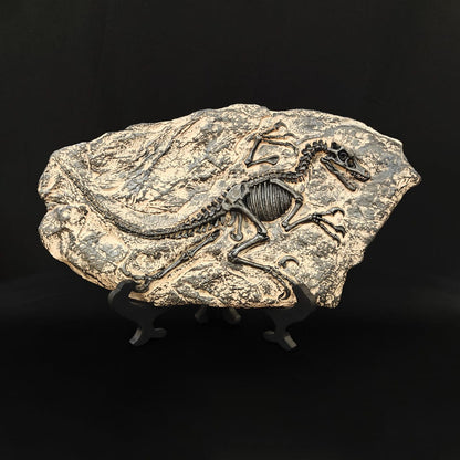 dino fossil decor
