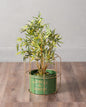 Flowers & Garden Planter - Green