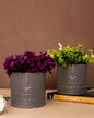 Faceted Ceramic Mini Planters - Set of 2