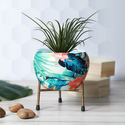 Tropical Tweet Handcrafted Planter With Stand - Four Piece Set