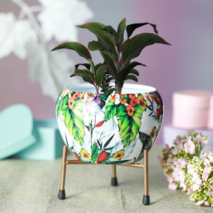 Tropical Tweet Handcrafted Planter With Stand - Four Piece Set