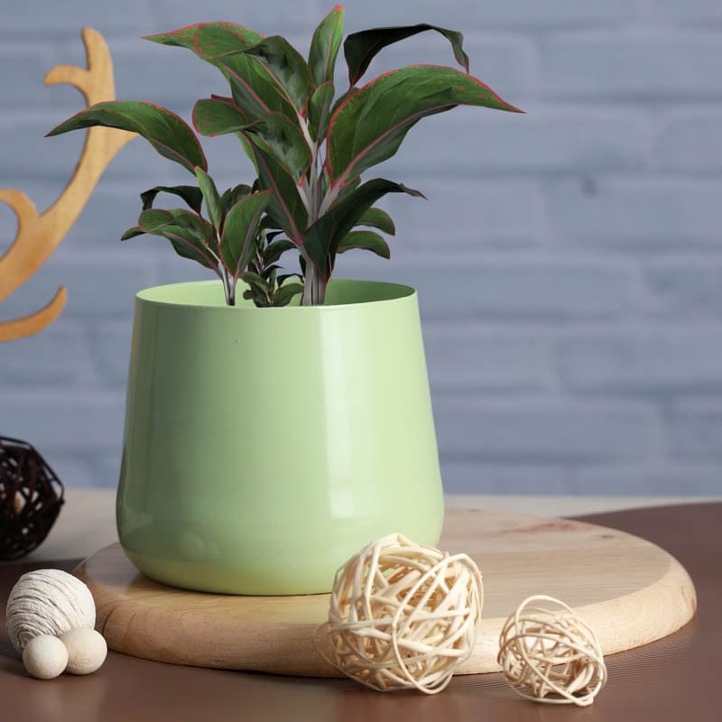 Melva Handcrafted Planter - Green
