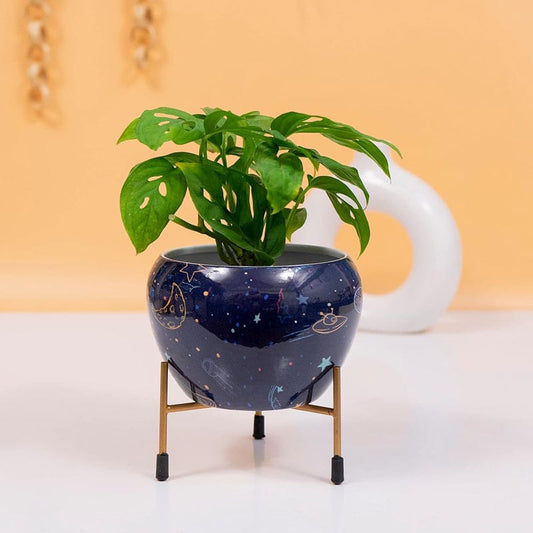 Kyari Midnight Orbit Metal Planter With Stand