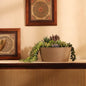 Zenscape Tray Planter - Taupe