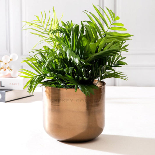 classy metallic planter - set of 2