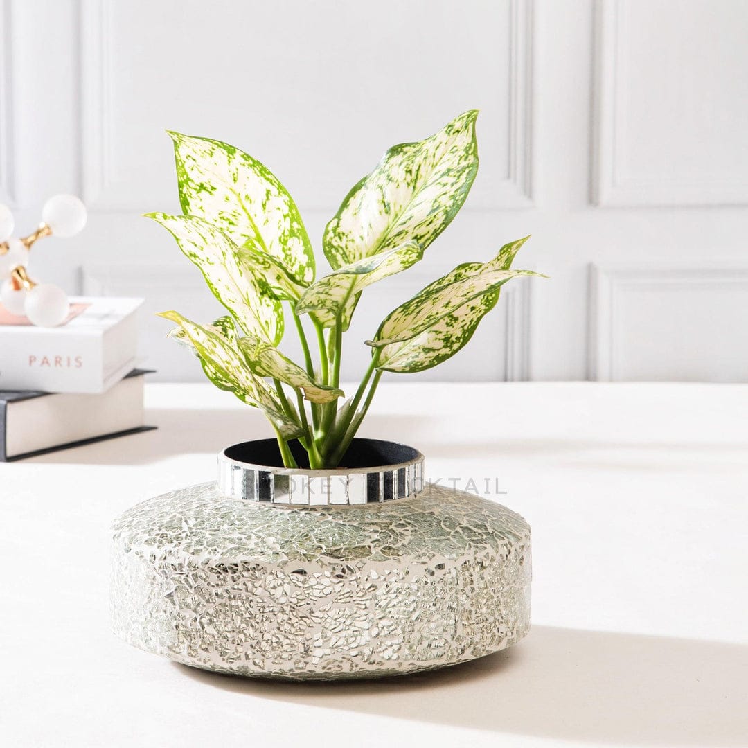 mosaic mirror planter