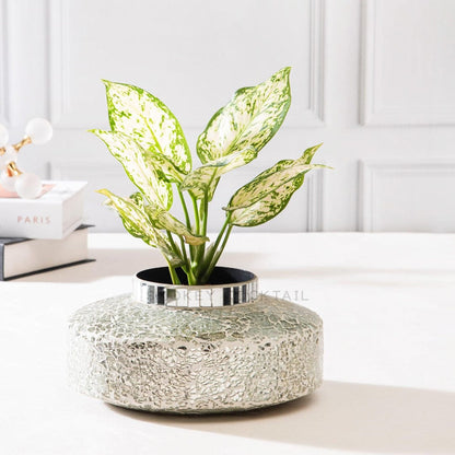 mosaic mirror planter