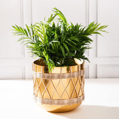 handcrafted planter - set of 2