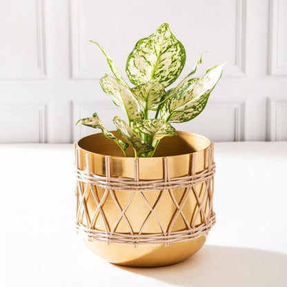 handcrafted planter - set of 2