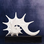 elegant shell console decor accent