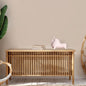 Bison Beauty (Black, White) Ceramic Home Decor