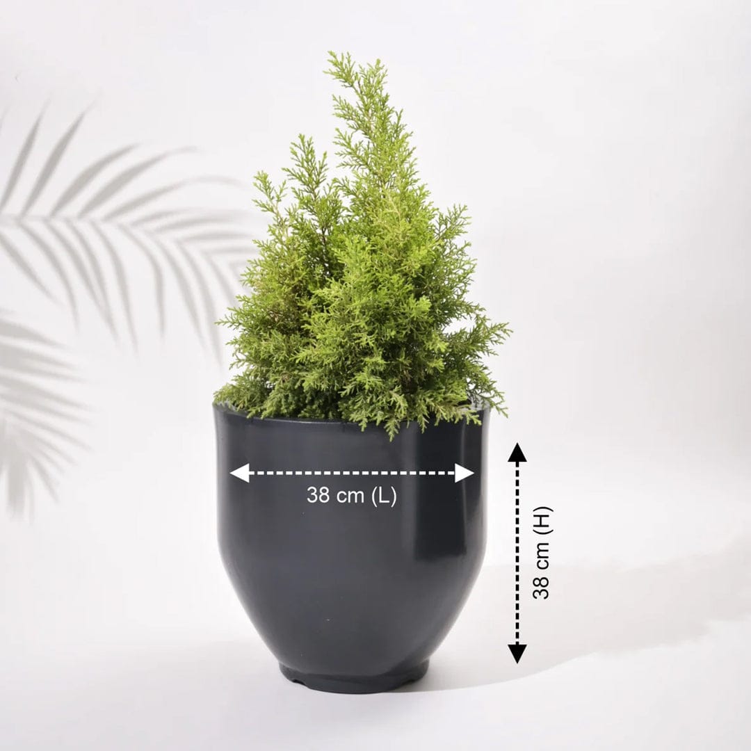 Cup Outdoor Polymer Planters For Garden, Balcony (Pair Of Large, Small And Medium)