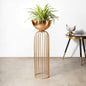 Urban Zen Planter (Gold Stand & Ross Gold Pot) - Big
